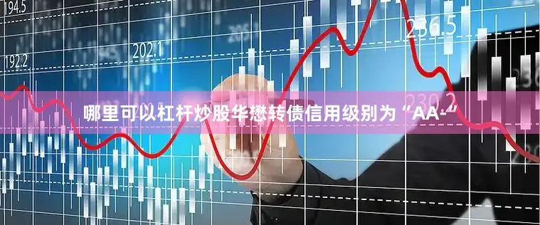 哪里可以杠杆炒股华懋转债信用级别为“AA-”