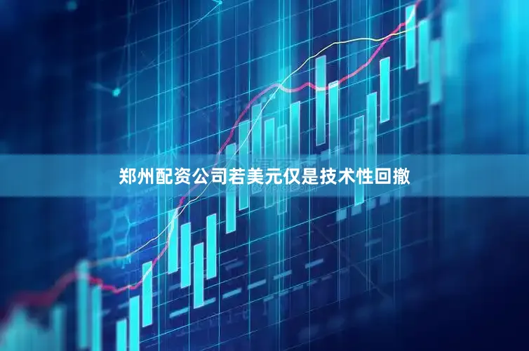 郑州配资公司若美元仅是技术性回撤